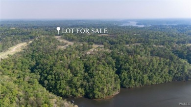 Lake Acreage For Sale in Tuscaloosa, Alabama