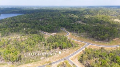 Lake Lot For Sale in Tuscaloosa, Alabama