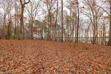 Your opportunity to secure one of the final developer-owned - photo 29