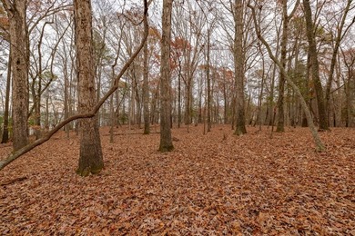 Your opportunity to secure one of the final developer-owned - photo 32