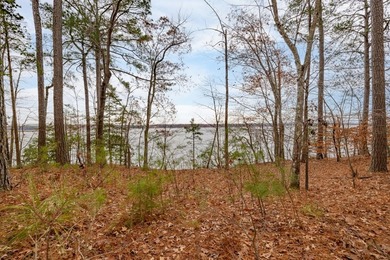 Your opportunity to secure one of the final developer-owned - photo 33