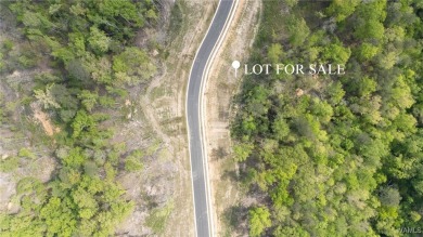 Lake Lot For Sale in Tuscaloosa, Alabama