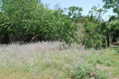 Lake Lot For Sale in Whitney, Texas