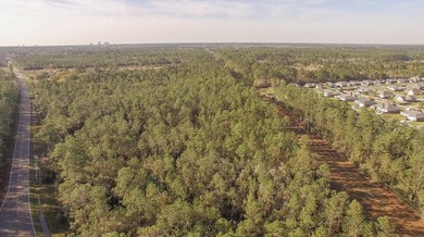 Excellent development site - surrounded by Bridgewood and - photo 10