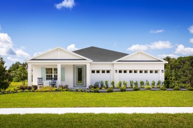 Little Lake Nellie Home For Sale in Clermont Florida