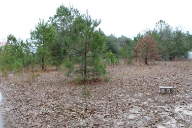 Lake Lot For Sale in Elloree, South Carolina