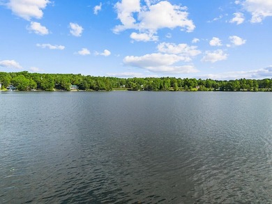 Experience the best of Maine lakefront living with this charming - photo 8