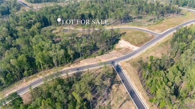 Lake Acreage For Sale in Tuscaloosa, Alabama