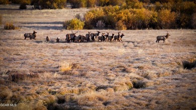 Fraser River Ranch is a rare 176-acre live-water ranch featuring - photo 13