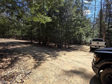 Welcome to your Northern Michigan retreat at 5592 N Bear Lake - photo 22