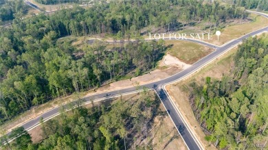 Lake Acreage For Sale in Tuscaloosa, Alabama