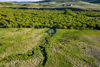 Fraser River Ranch is a rare 176-acre live-water ranch featuring - photo 44
