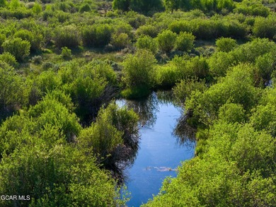 Fraser River Ranch is a rare 176-acre live-water ranch featuring - photo 47