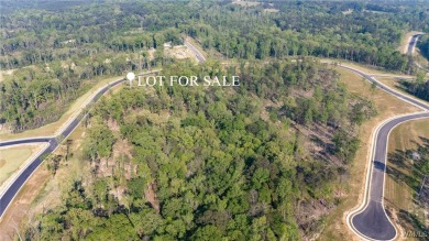 Lake Acreage For Sale in Tuscaloosa, Alabama