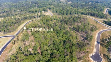 Lake Lot For Sale in Tuscaloosa, Alabama