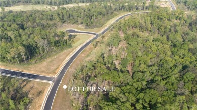 Lake Lot For Sale in Tuscaloosa, Alabama