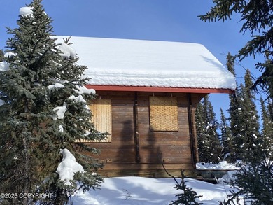 Cute Lindahl Cedar cabin on 4 acres of lakefront. Great fishing - photo 1