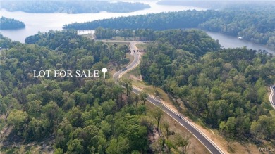 Lake Acreage For Sale in Tuscaloosa, Alabama