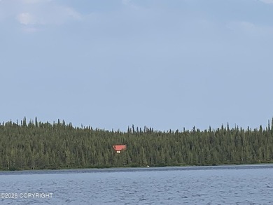 Cute Lindahl Cedar cabin on 4 acres of lakefront. Great fishing - photo 2