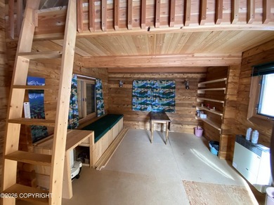 Cute Lindahl Cedar cabin on 4 acres of lakefront. Great fishing - photo 4