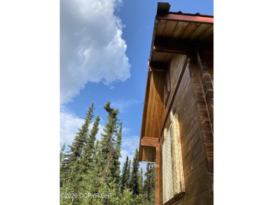 Cute Lindahl Cedar cabin on 4 acres of lakefront. Great fishing - photo 8