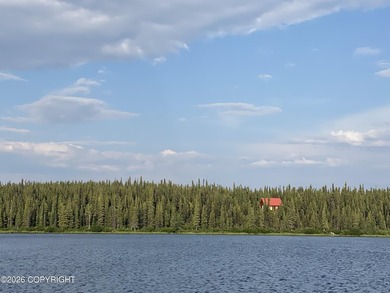 Cute Lindahl Cedar cabin on 4 acres of lakefront. Great fishing - photo 10