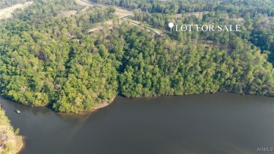 Lake Acreage For Sale in Tuscaloosa, Alabama