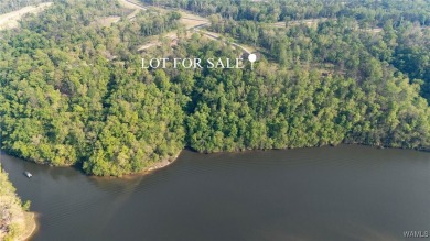 Lake Acreage For Sale in Tuscaloosa, Alabama