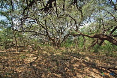This exceptional 200-acre ranch property in Bertram, TX, offers - photo 11