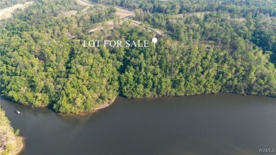 Lake Lot For Sale in Tuscaloosa, Alabama