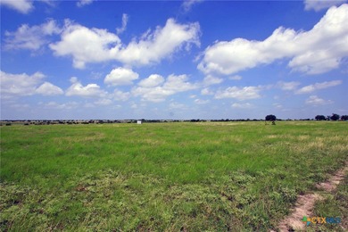 This exceptional 200-acre ranch property in Bertram, TX, offers - photo 21