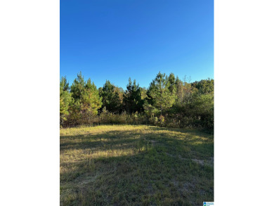 Lake Mitchell Acreage Sale Pending in Shelby Alabama