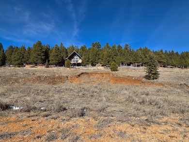 Navajo Lake Lot For Sale in Duck Creek Utah