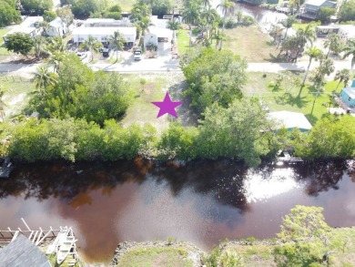 (private lake, pond, creek) Lot For Sale in Plantation Island Florida