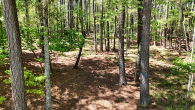 Lake Lot For Sale in Greensboro, Georgia