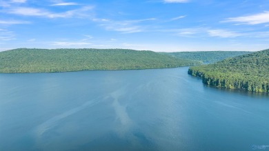 Lake Guntersville Lot For Sale in Langston Alabama