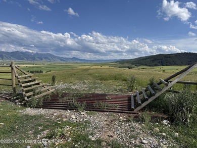 Dream property nestled in the elevated hills above the town of - photo 13