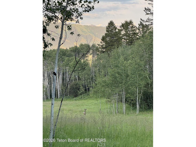 Dream property nestled in the elevated hills above the town of - photo 14