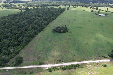 Lake Acreage For Sale in Centerville, Texas