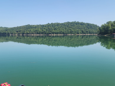 Boating, Fishing, Swimming and Lovin' Everyday - photo 11