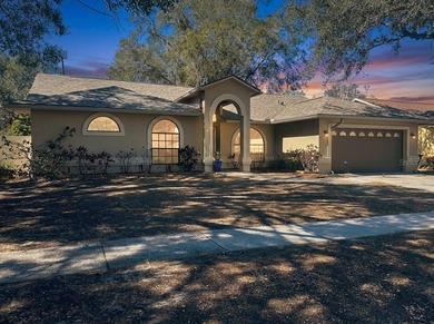 (private lake, pond, coastal) Home For Sale in Brandon Florida