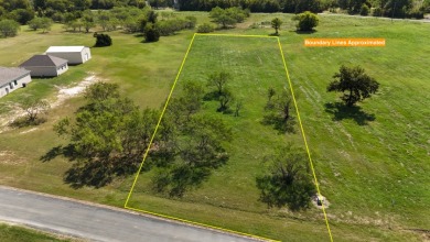 Cleared Beautiful Lakeview lot ready for your home build - photo 11