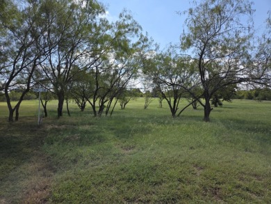 Cleared Beautiful Lakeview lot ready for your home build - photo 2