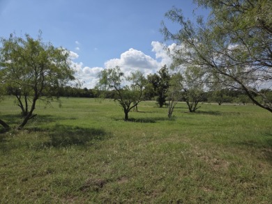 Cleared Beautiful Lakeview lot ready for your home build - photo 20