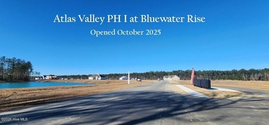 The Sydney floor plan in the new Atlas Valley Phase of Bluewater - photo 4