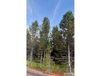 Lake Lot For Sale in Island Park, Idaho