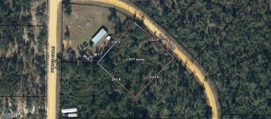 Lake Lot For Sale in Alford, Florida