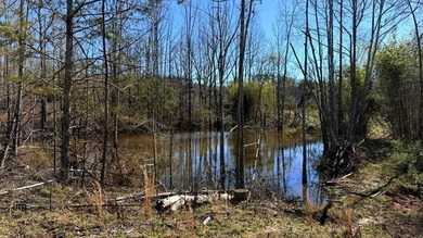 63.20 acres conveniently located 8 miles from Water Valley and - photo 14