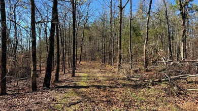 63.20 acres conveniently located 8 miles from Water Valley and - photo 15