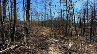 63.20 acres conveniently located 8 miles from Water Valley and - photo 16